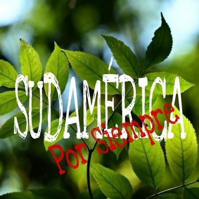 ¡¡¡SUDAMÉRICA UNIDA JAMAS SERA VENCIDA!!! 💪💪💪 La herencia cultural y la riqueza de nuestros recursos naturales son incomparables. Sudamérica. 🤩😎💖