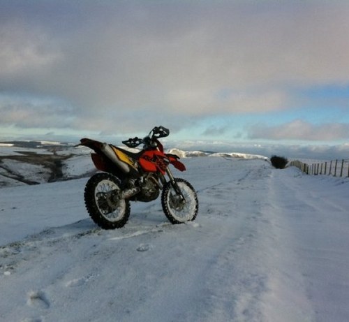 laverpau's profile picture. greenlaner