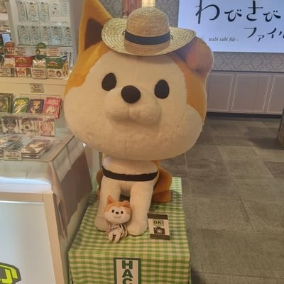 Linkw2505's profile picture.