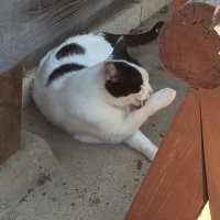 パンパン (@onhmfyrsbhtzpag) Twitter profile photo