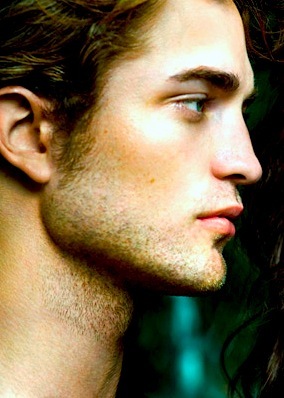 TotallyRobbed's profile picture. 