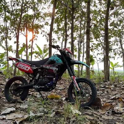 RevrieV's profile picture. 