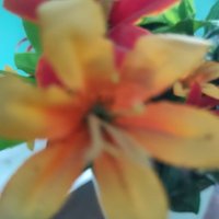 पुष्पेन्द्र कुमार द्विवेदी (@pd64764) 's Twitter Profile