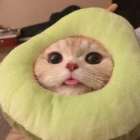 💟 (@_alaskayoun6) 's Twitter Profile