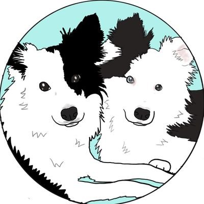 3頭の犬と1匹の猫と田舎暮らし。犬猫🐺🐱、音楽全般と書籍とものづくりが大好き。Love Melbourne😊 英語は再勉強中📝