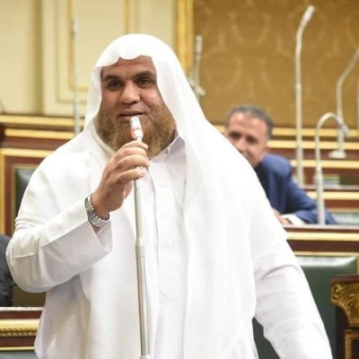 عضو مجلس النواب المصري