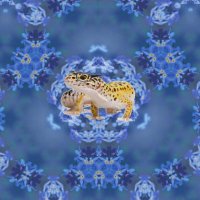 gecho (@gecholiedoscope) 's Twitter Profile