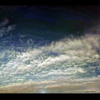 JJM (@joejamor) 's Twitter Profile