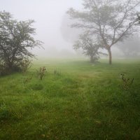 خالد العمر (@alomar8) 's Twitter Profile