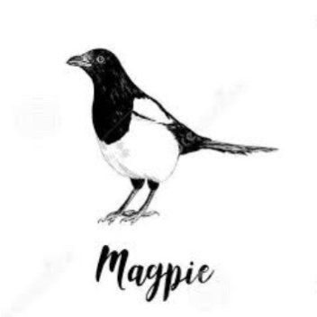 MagpieR6 Profile Picture