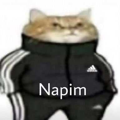 Mr94751883's profile picture. 