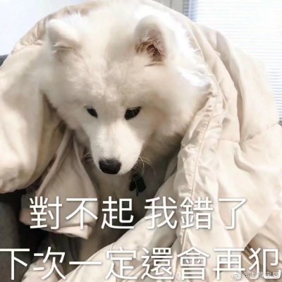 狂暴点赞组长，会点赞很多很多好看的furry图