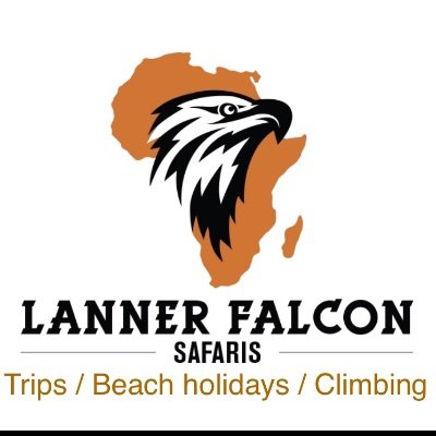 Lanner falcon safaris is the travel company located in Arusha-Tanzania, which deals with tourists to the natural and artificial destinations.