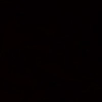 ♊ (@_____529__) 's Twitter Profile
