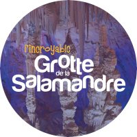 ✨ GrotteDeLaSalamandre(@GtteSalamandre) 's Twitter Profileg