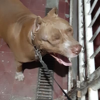 shabrinardelia's profile picture. #Medenly11 #FSC14 Moslem