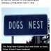 Dogs Nest 1851 (@1851dogs) Twitter profile photo Dogs Nest 1851 (@1851dogs) Twitter profile photo