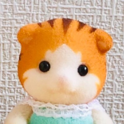 やさしい世界 やわらかな世界が好きです。                                                         人間の「ことり」とメイプルネコの「ピョコちゃん」の生活日記。