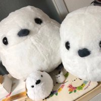 等司 (@rathloki) 's Twitter Profile