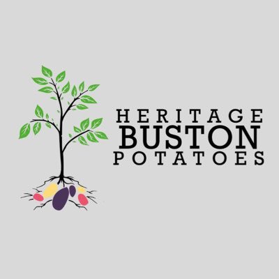 Specialist potato grower on the Northumberland Coast. Contact 07718902839 for info