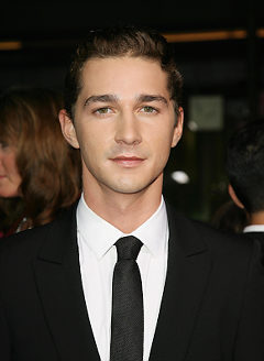 Well, to sum things up, I'm a normal guy named Sam Witwicky who bought an old car which turned out to be an Autobot, and the rest is history.