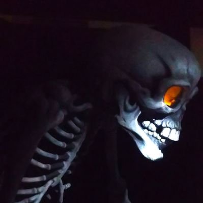 nextwelcm's profile picture. 新潟県出身です。趣味は、映画鑑賞やドラマやアニメを見ることです。特撮とかも好きで仮面ライダーや戦隊も見ています。カードゲーム(バトスピ・ヴァンガード)をやっており、プラモ制作もしています(主にガンプラ)