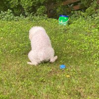 カネトン チーズナッツ出禁 (@kaneton4500) 's Twitter Profile Photo カネトン チーズナッツ出禁 (@kaneton4500) 's Twitter Profile Photo