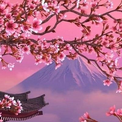 Your almost daily post about Japan and something🇯🇵