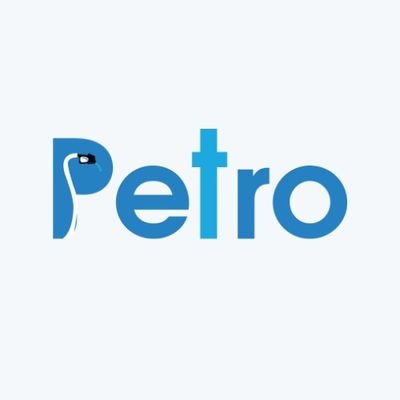 Petro is a payments company focused on secure wireless pay-at-the-pump technology for gas stations and petroleum retail ecommerce.