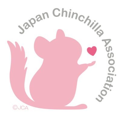 JapanChinchilla Profile Picture