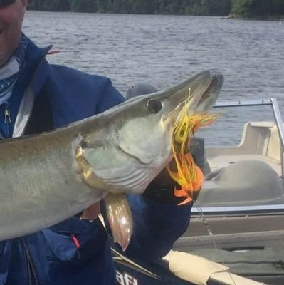 🇨🇦Medic. Fly fishing. Pike and Musky flies. Investing for a sustainable income.