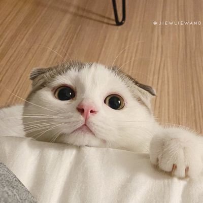 suthassssssss's profile picture. 