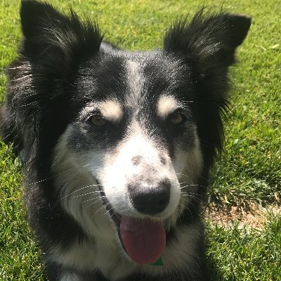 kbartz4's profile picture. 