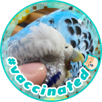 🦜あきあ⋈ (@pipipopochinaki) 's Twitter Profile