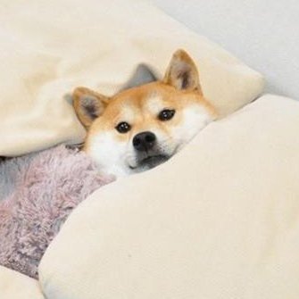 로그아웃さんのプロフィール画像