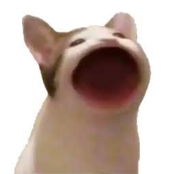 bzydev's profile picture. Football