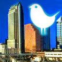 Tweets4Tampa Daily!
News from around the Tampa Bay area.