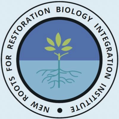 New Roots for Restoration @NSF funded Biology Integration Institute studying plant roots and shoots in the context of plant communities and the soil ecosphere.