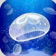 さばさんのプロフィール画像