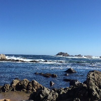 macamovillo's profile picture. 