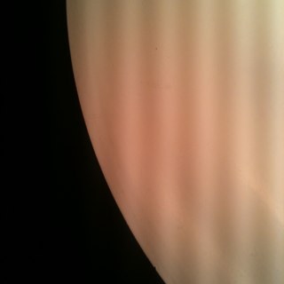 pilololo's profile picture. 