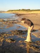 KatelinMoomau's profile picture. "A very important thing is not to make up your mind that you are any one thing."  Pursuits: traveling, cooking, baking, dining, reading, gardening.