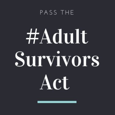 ALL survivors deserve a path to justice. Signed into law May ‘22. The one year look back window opens November ‘22. (S.66 @bradhoylman /A.648 @LindaBRosenthal)