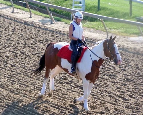 the_mares's profile picture. Multiple graded stakes winning trainer stabled in Maryland and Florida.