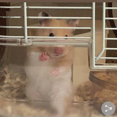 ken92415's profile picture. 