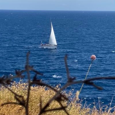 kreep17's profile picture. …