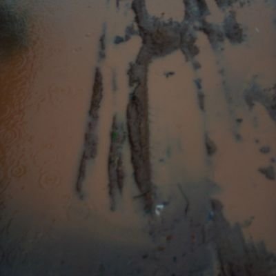 Musa64146651's profile picture. orphans in Gambia looking for help
