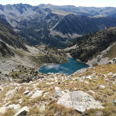 xesco79's profile picture. ...