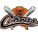 Home of the McHenry Cobras Travel Baseball organization.  Affiliated with the McHenry Baseball Association.