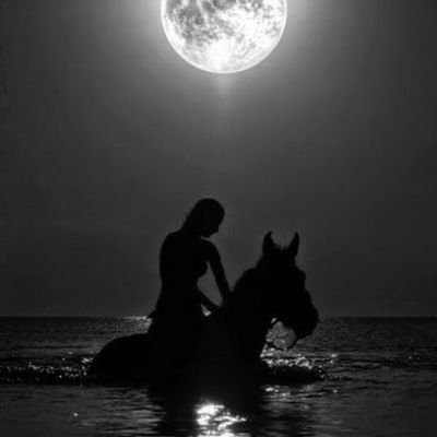 wuwwnurkk's profile picture. 